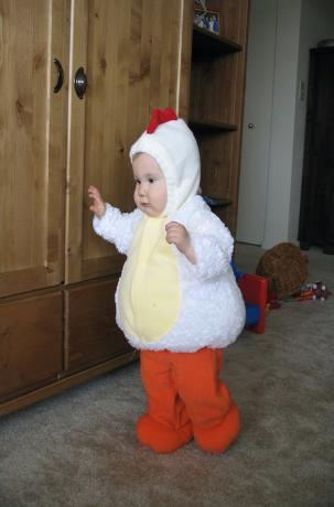 Audrey in her chicken suit.  She sure is a cutie.