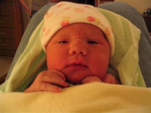Another after birth photo.  Still can't tell what color they are.