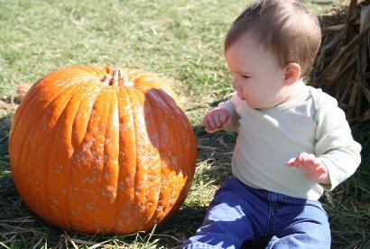 This pumpkin looked a little leprous, and Audrey was afraid to touch it!